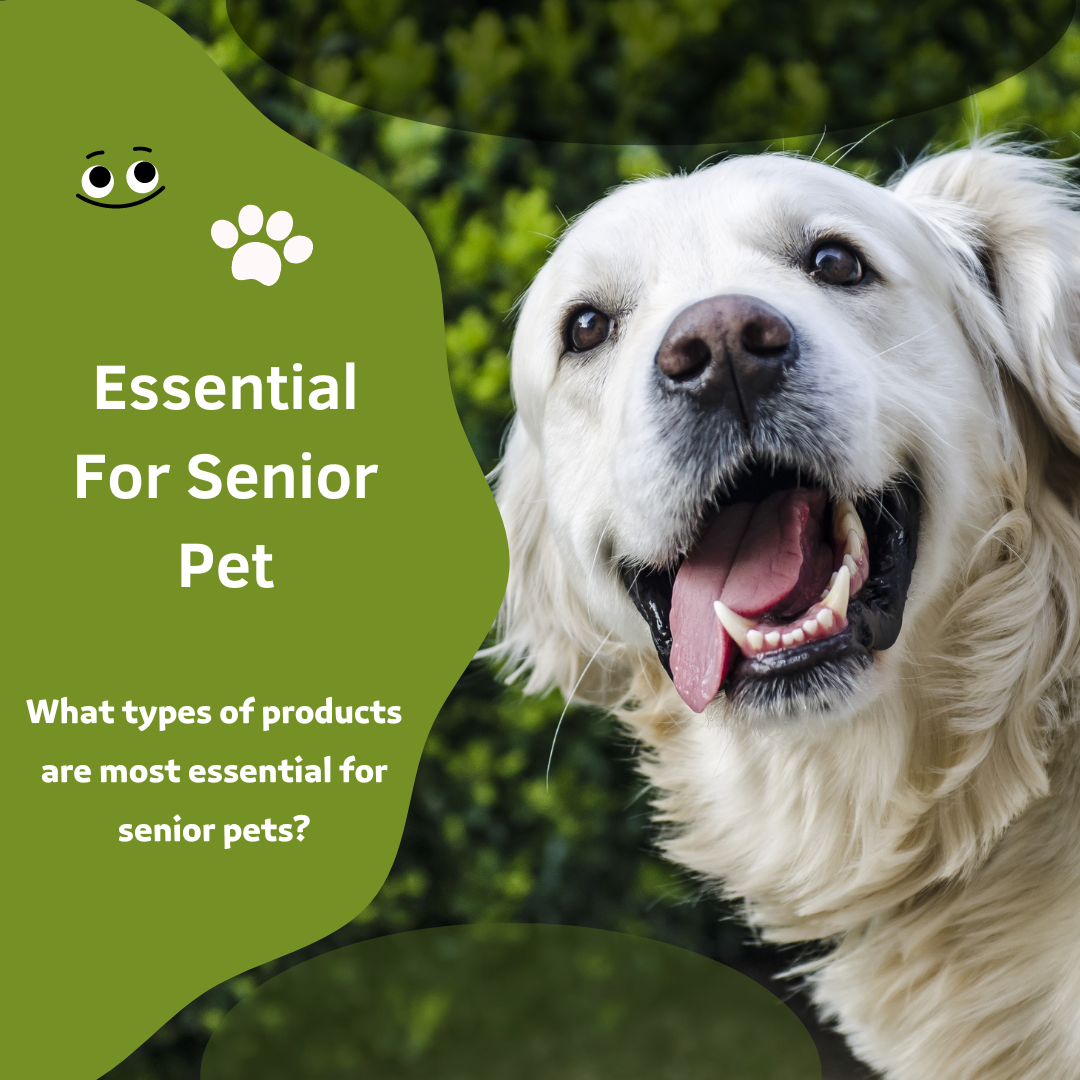 What types of products are most essential for senior pets?