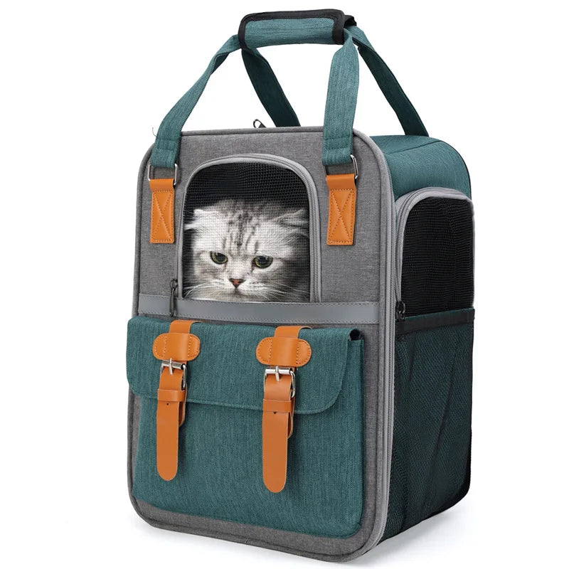 Buckle Pet Backpack Bag