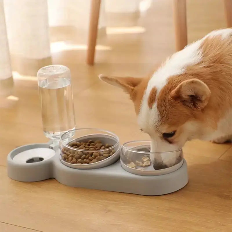 3 in1 Cat And Dog Bowl Pet Feeder