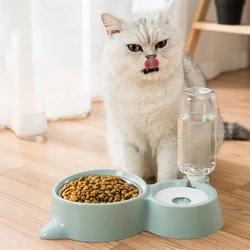 Mint Green Pet Bowl Food Water Feeder