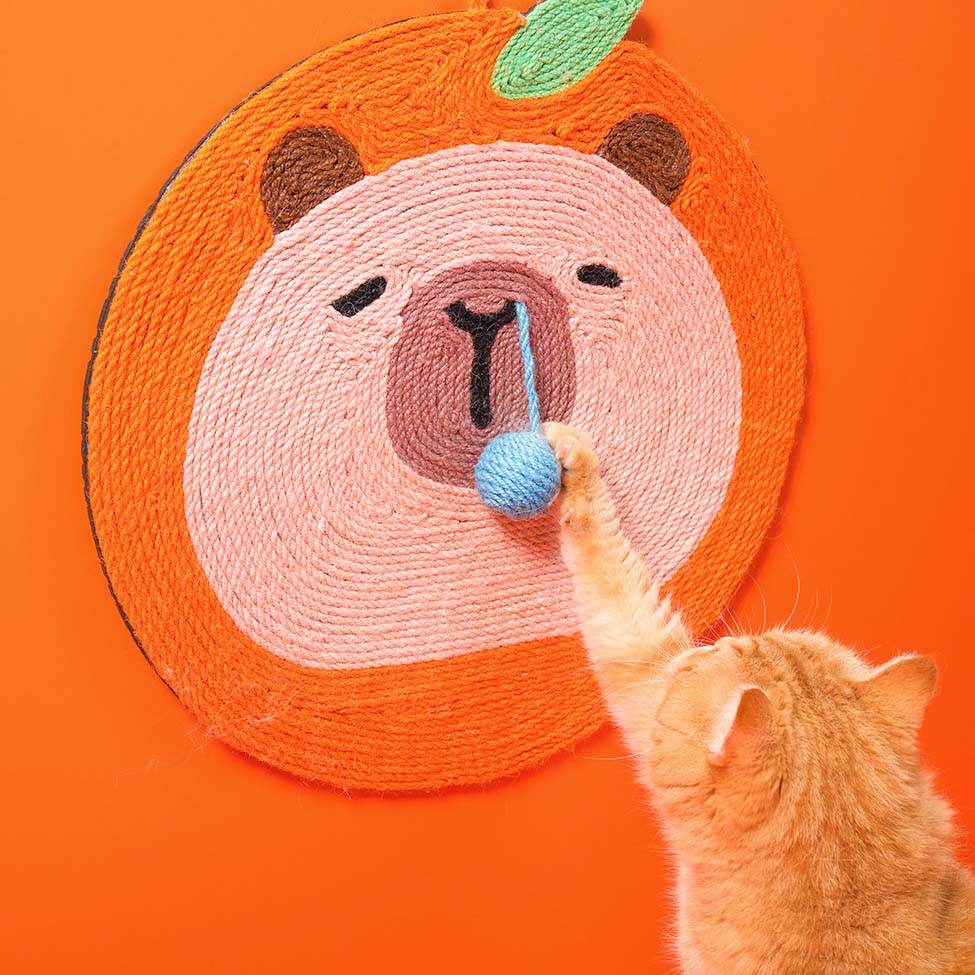 Capybara Cat Scratcher Board Cat Toy