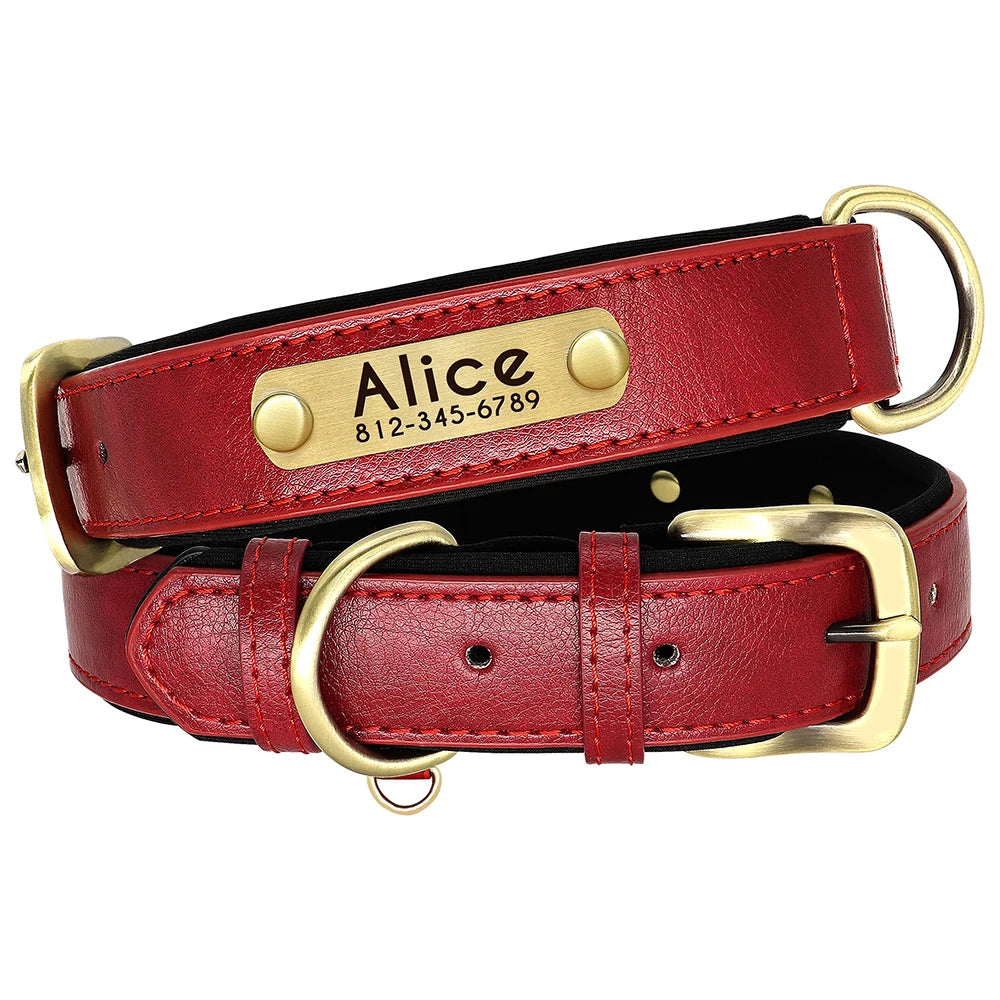 Custom Leather Dog Collar