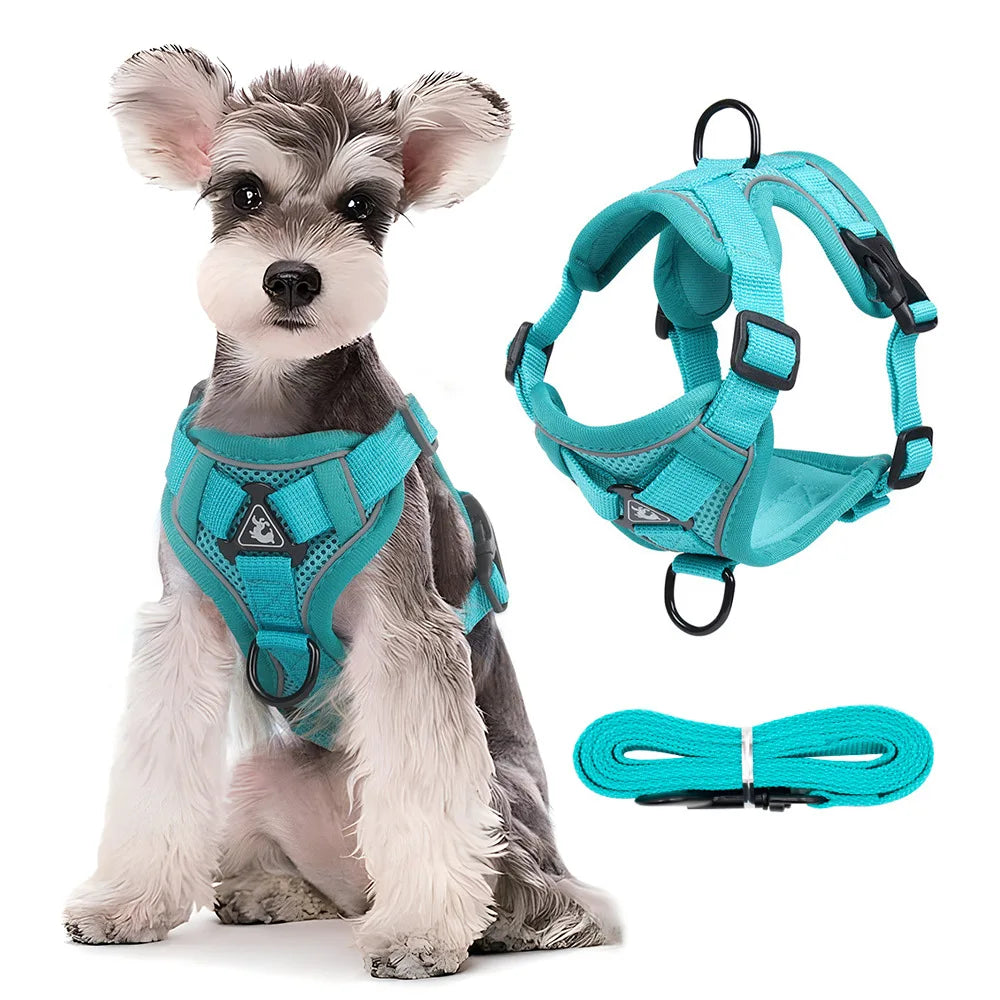 Reflective Dog Harness Leash Set