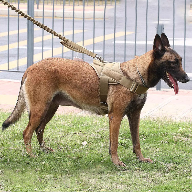 Tactical Dog Outgoing Harness