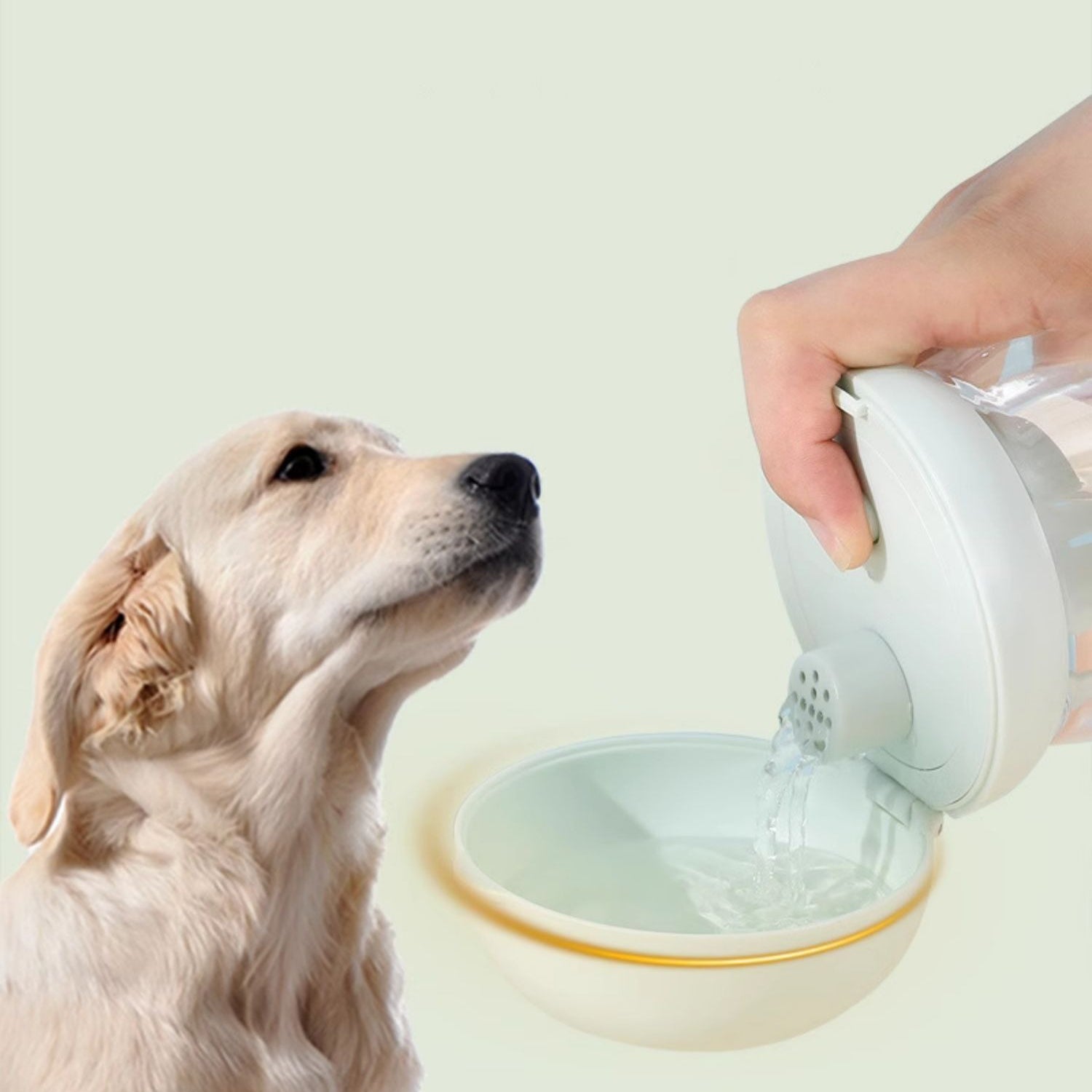 Lightweight Dog Water Bottle