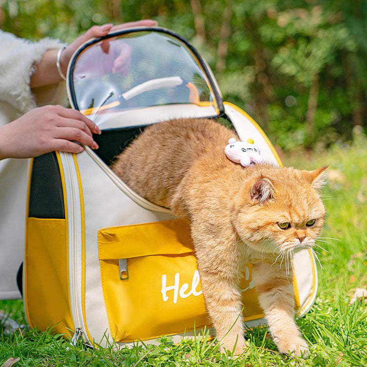 Front Window Cat Carrier Backpack