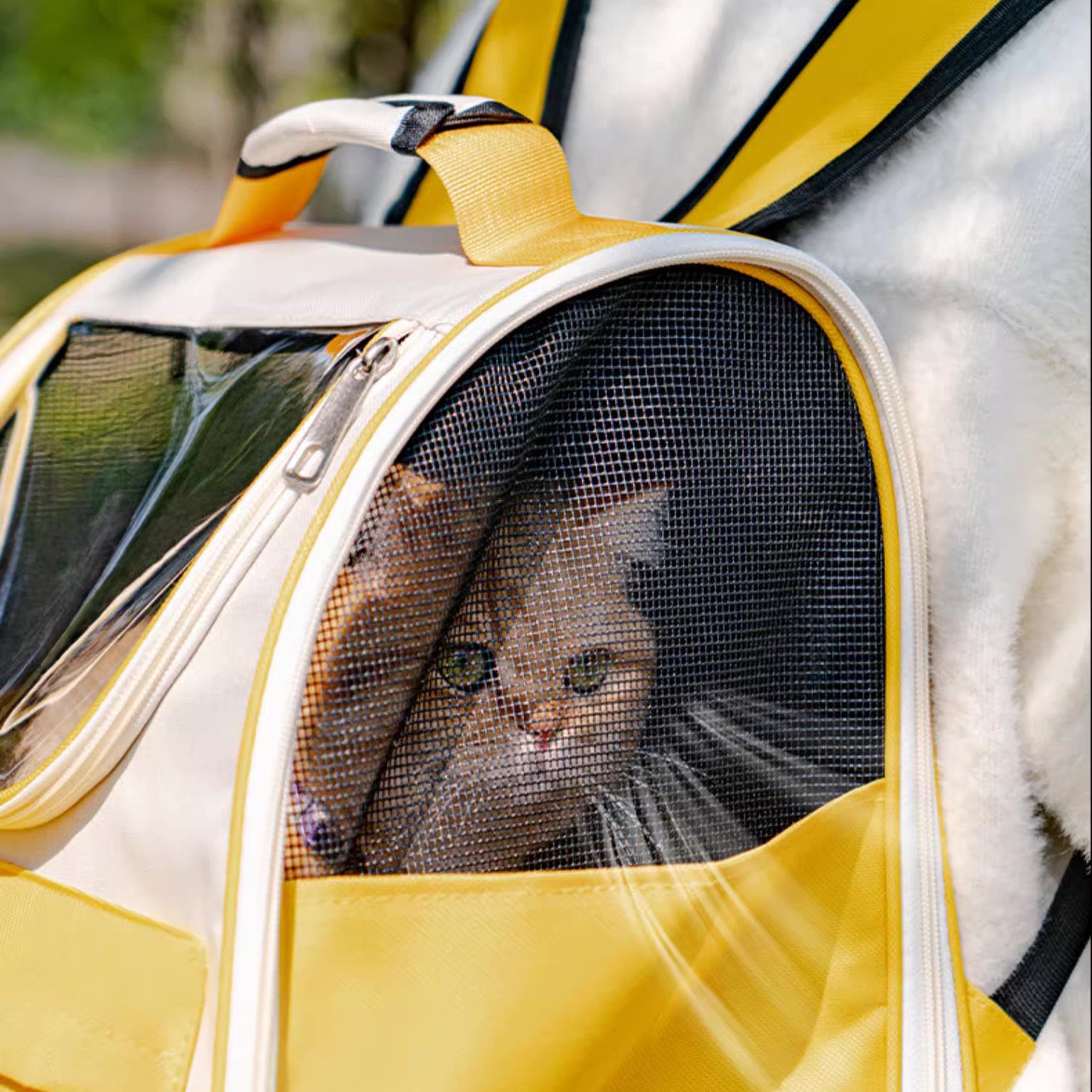 Front Window Cat Carrier Backpack