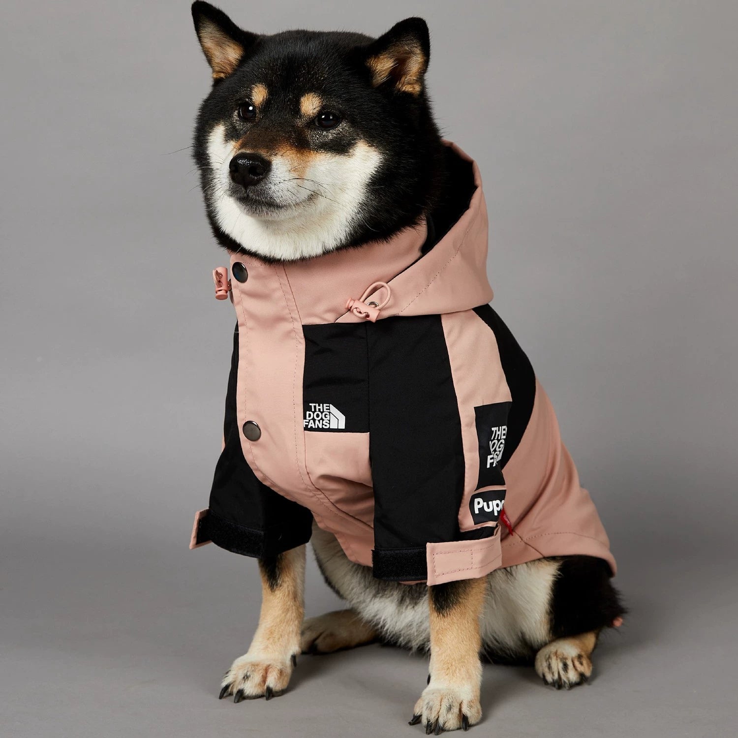 Pink Outdoors Dog Raincoat