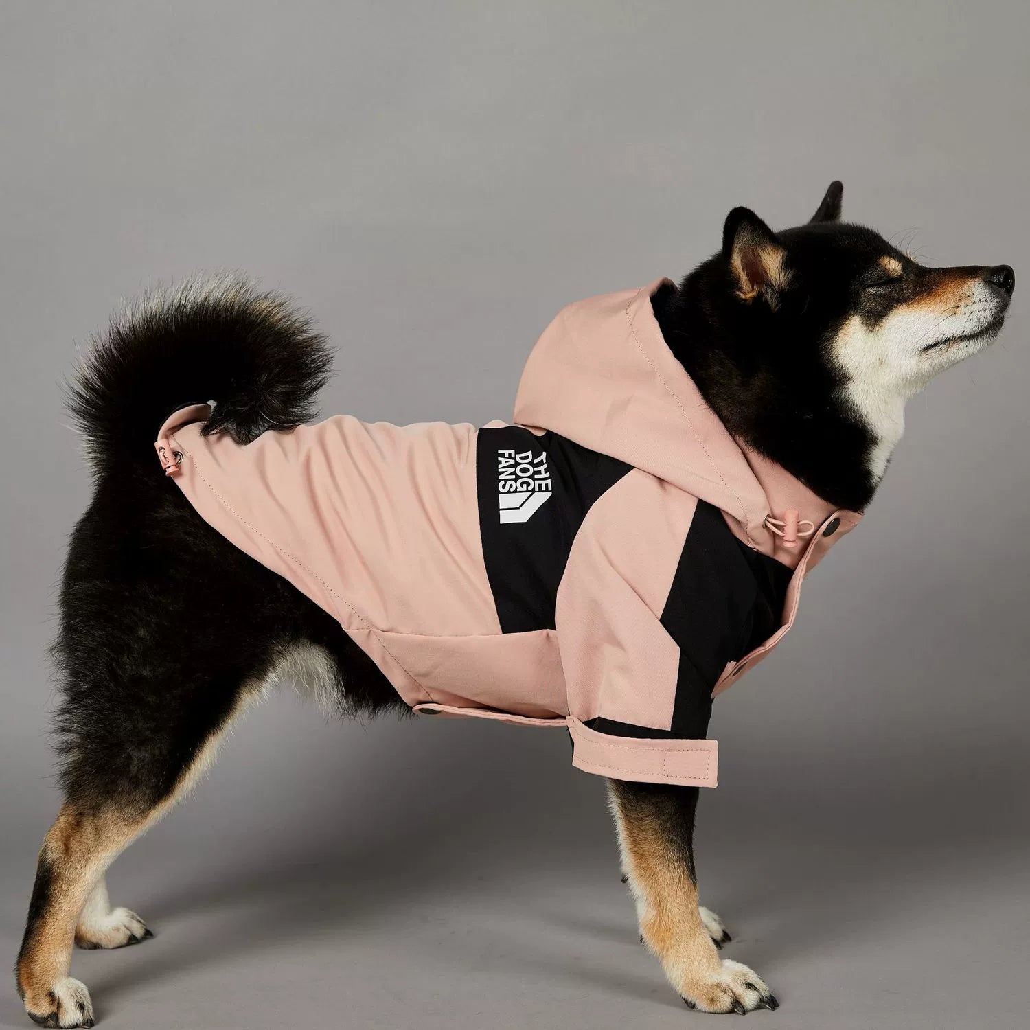 Pink Outdoors Dog Raincoat