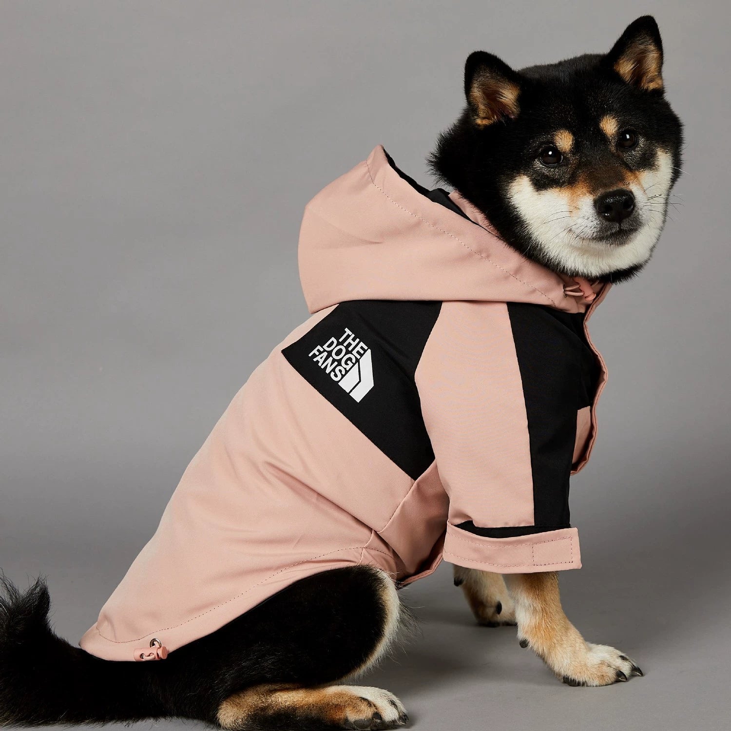 Pink Outdoors Dog Raincoat