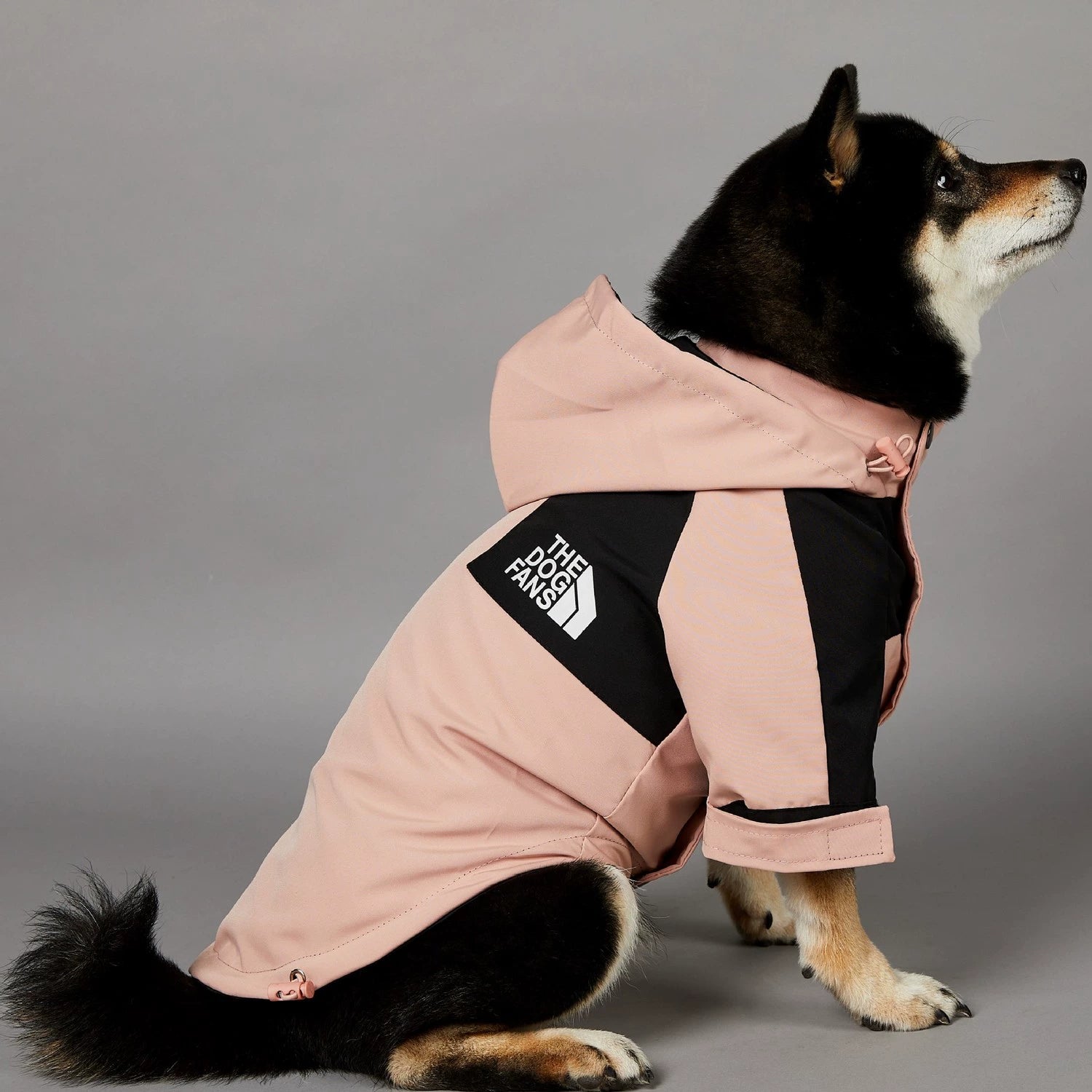 Pink Outdoors Dog Raincoat