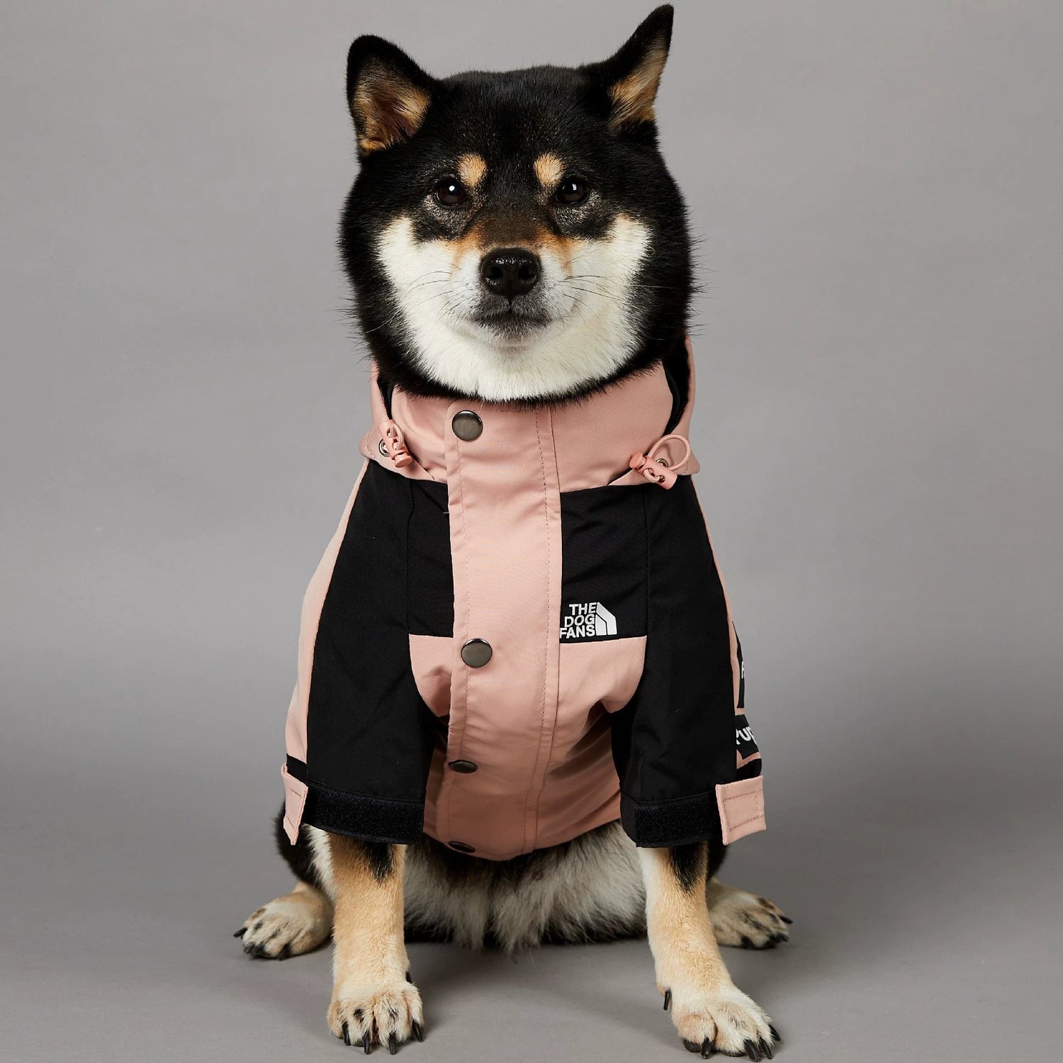 Pink Outdoors Dog Raincoat