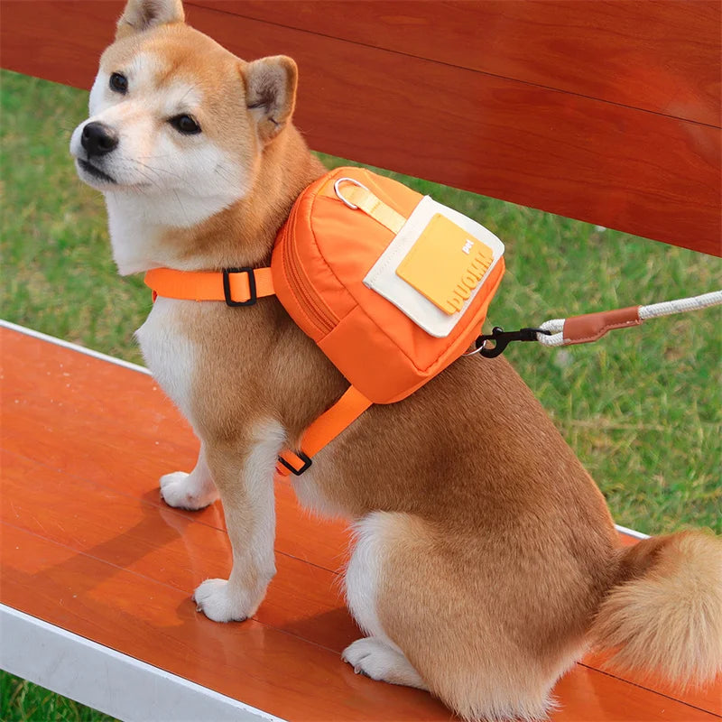 Snack Bag Dog Leash