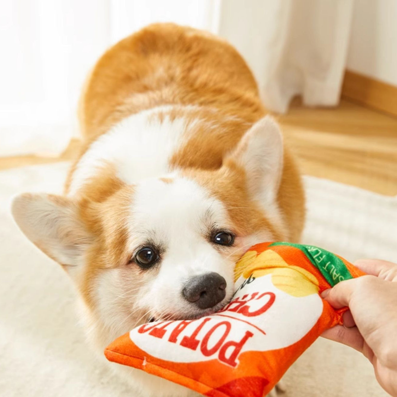 Potato Chip Bag Squeaky Dog Toy