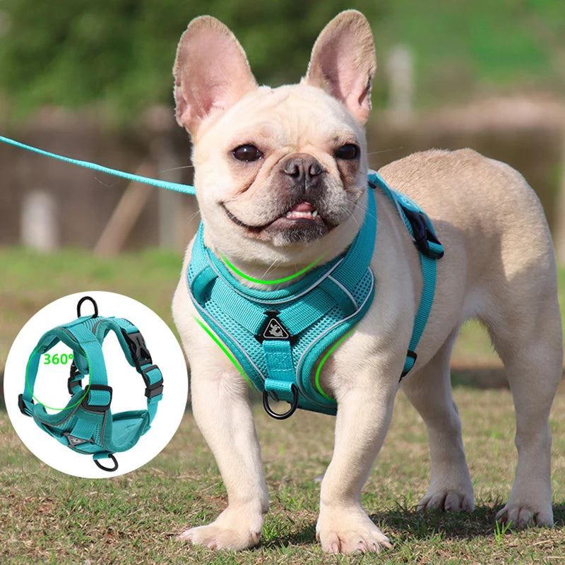 Reflective Dog Harness Leash Set