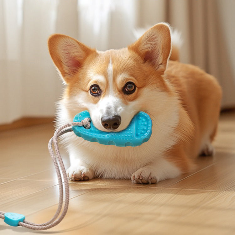 Slipper Shaped Suction Cup Dog Toy