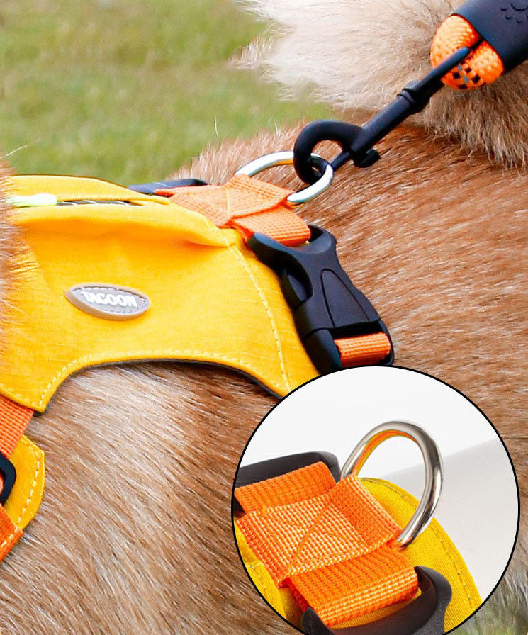 Zipper Pocket Dog Harness