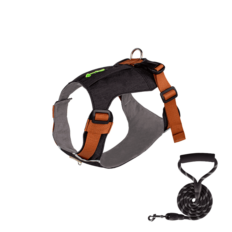 Zipper Pocket Dog Harness