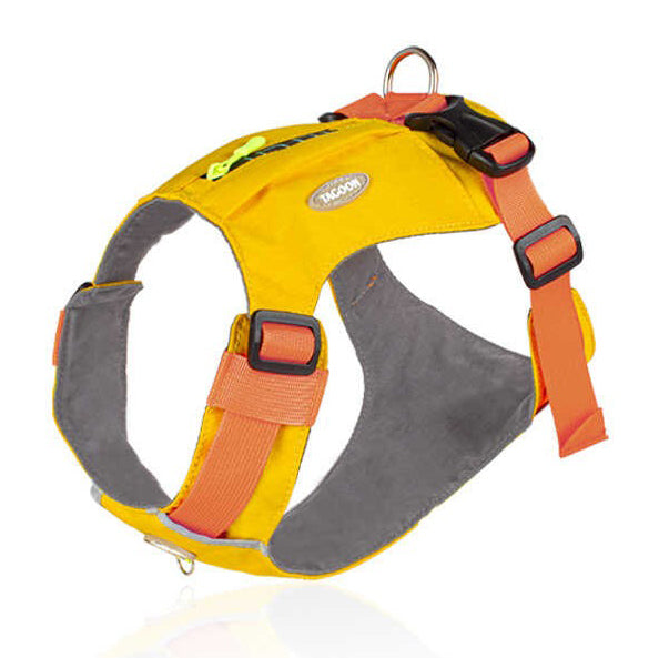 Zipper Pocket Dog Harness