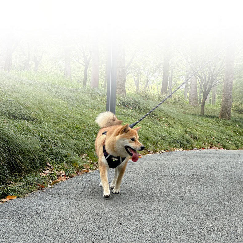 Zipper Pocket Dog Harness