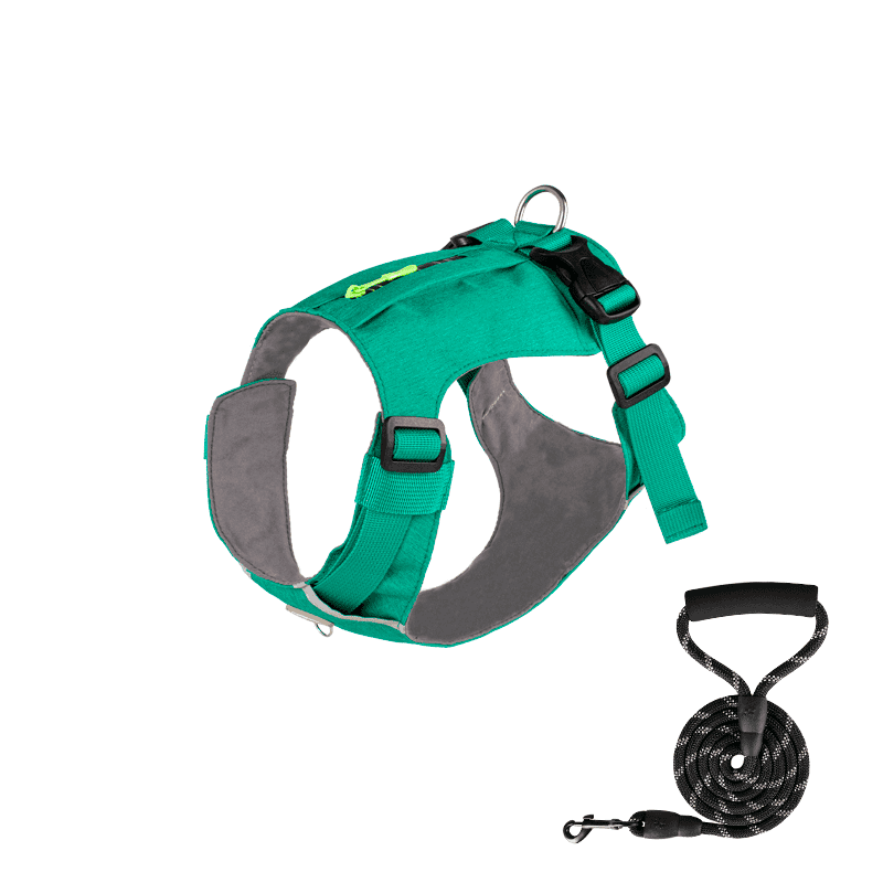 Zipper Pocket Dog Harness