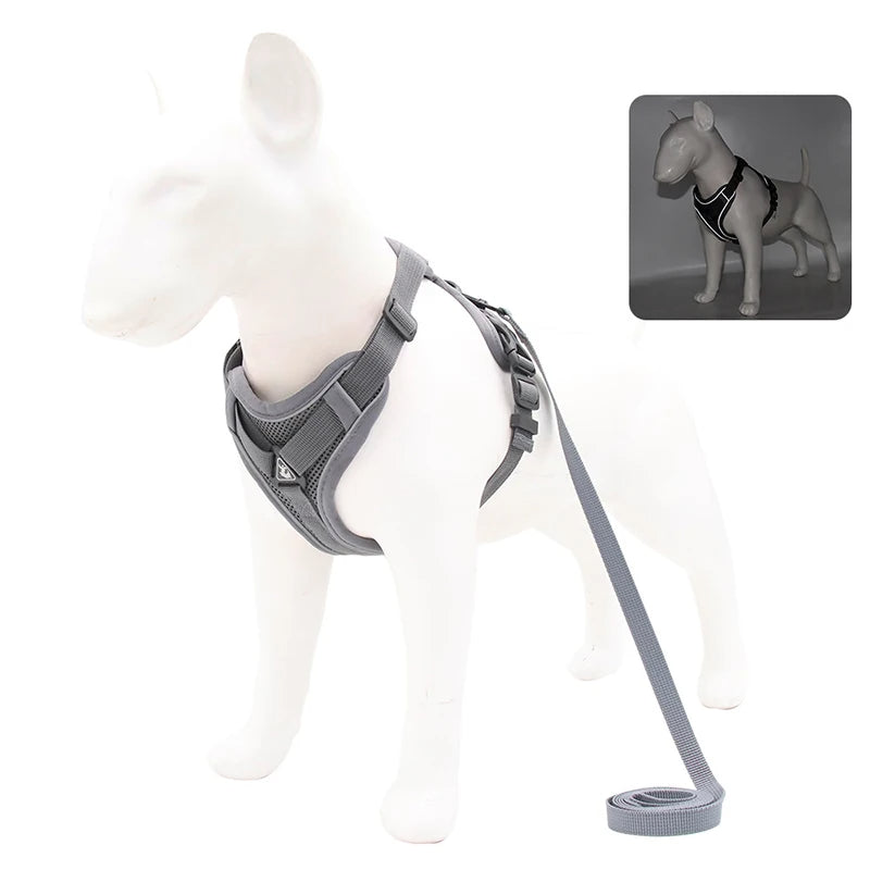 Reflective Dog Harness Leash Set